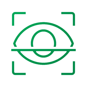 retina